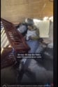 1746891770069.webm