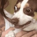 1746892231525.gif