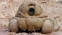 1746893124971.webm