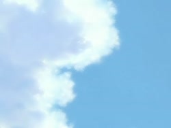 1746898042217.webm