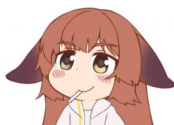 1746898216599.png