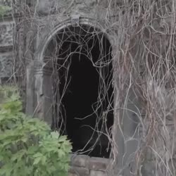 1746898853027.webm