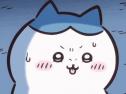 1746916049868.gif