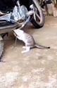 1746946488626.webm