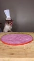 1746948476708.webm