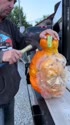 1746949389565.webm