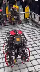 1746950497466.webm
