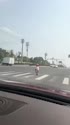 1746954639906.webm