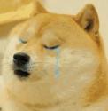 1746954704363.gif