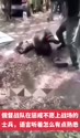 1746962606480.webm