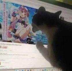 151 KB