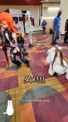 1747042924884.webm