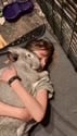 1747050186617.webm