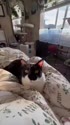 1747054213049.webm