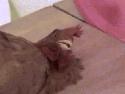 1747066621997.gif