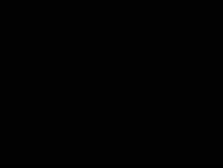1747096376462.webm