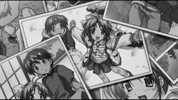 1747100080893.webm