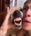 1747104677700.webm