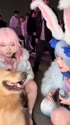 1747109015380.webm
