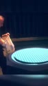 1747122642200.webm