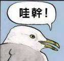 43 KB