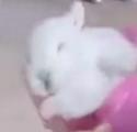5 KB
