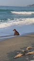 1750139012181.webm