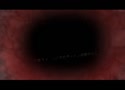 1750144533836.webm