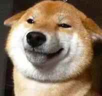 1750149672131.jpg