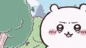 1750149970657.gif