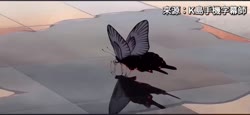 1750150546098.webm