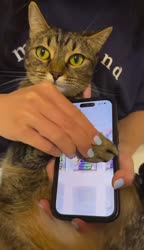 1750154751142.webm