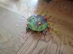 1750155951941.webm