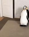 1750159158250.gif