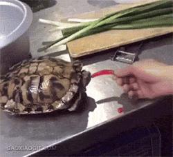 1750161939270.gif