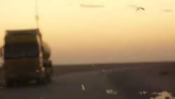 1750162166696.webm