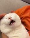 1750169036953.webm