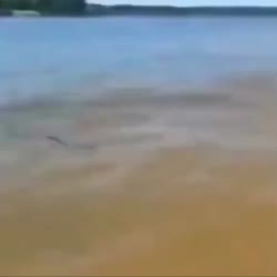 1750173405857.webm