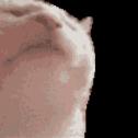 1750187945808.gif