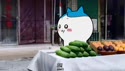 1750197026570.webm