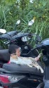 1750204516126.webm