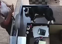 1750205185070.webm