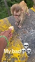 1750220793560.webm