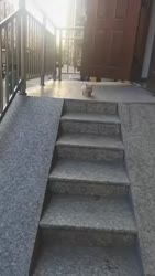 1750231872458.webm