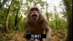 1750239235036.webm