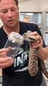 1750246665457.webm