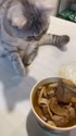 1750248576103.webm