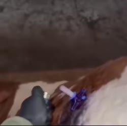 1750257798089.webm