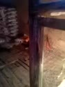 1750259104357.webm