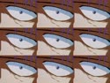 1750263783683.webm